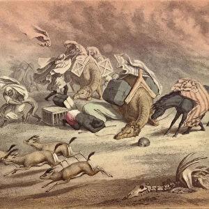 The great African desert, caravan of camels, horses and asses, overtaken by the Simoom, frightened gazelles (chromolitho)