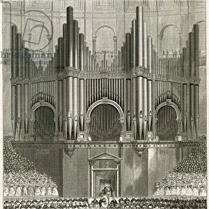The Great Organ at the Royal Albert Hall (engraving)
