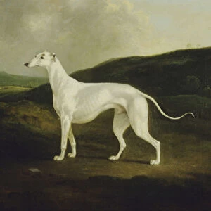 A Greyhound in a Landscape, 1817 (oil on canvas)