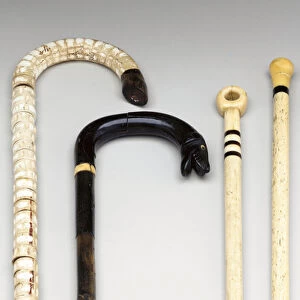 Group of canes (scrimshaw, baleen, whale ivory, whalebone)