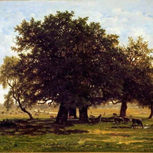 A group of oak trees, Apremont (Oil on canvas, 19th century)