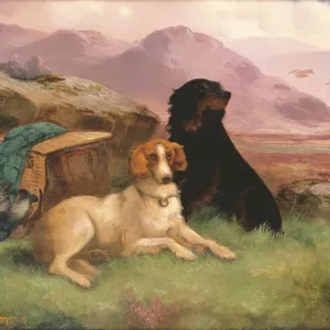 Gundogs (one of a pair)