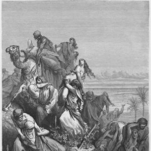 Gustave Dore Bible: The children of Benjamin carrying off the virgins of Jabesh-Gilead (engraving)