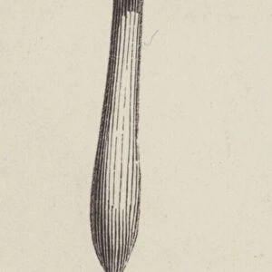 Hammer (engraving)