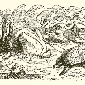 The Hare and the Tortoise (engraving)