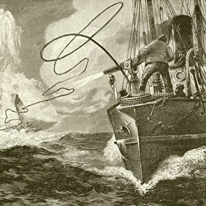 Harpooning a whale from a steamer (engraving)