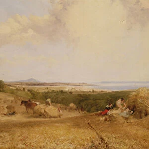 The Harvest Field, 1846 (oil on canvas)
