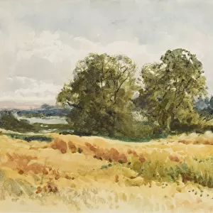 Harvest field, c. 1910 (w / c on paper)