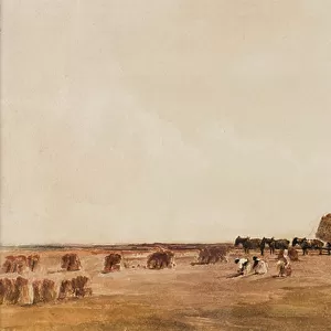 Harvest Time, date unknown (watercolour on paper)