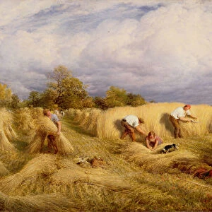 Harvesters, 1855 (oil on canvas)