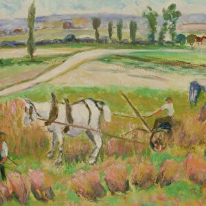 Harvesting with a White Horse (oil on board)