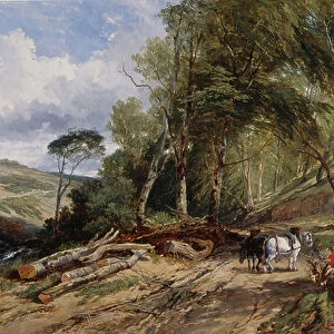 Hauling Timber (oil on canvas)
