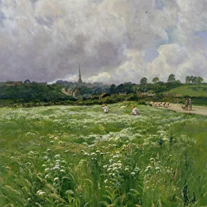 Haymaking (oil on canvas)