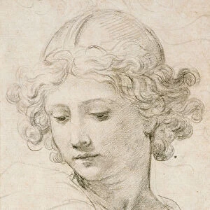Head of an angel, looking down to the left (black chalk on paper)
