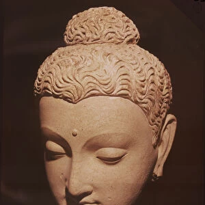 Head of Buddha, Greco-Buddhist style, from Hadda (stucco)