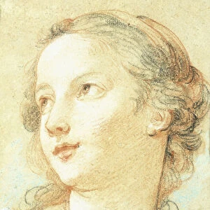 The Head of a Girl looking to the left, (white and blue chalk on light brown paper)