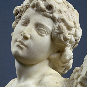Head from the Manhattan Cupid, c. 1494-96 (marble) (detail)