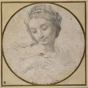 Head and shoulders of the Virgin (grey chalk on white paper)