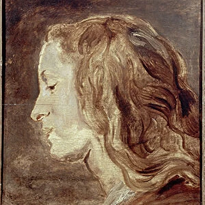 Head Study, first half of the 17th century (oil on board)