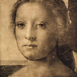 Head of a young woman, drawing by Andrea del Sarto. Gabinetto dei Disegni e delle Stampe, Uffizi Gallery, Florence