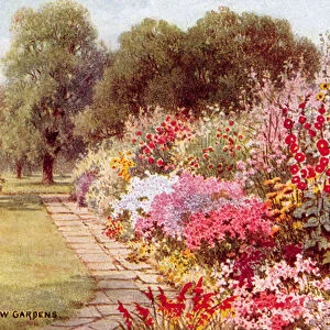 Herbaceous Border, Kew Gardens (colour litho)