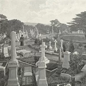 Highgate Cemetery (b / w photo)