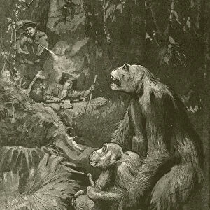 Home of the gorilla (engraving)