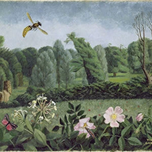 Hornet and Wild Rose, 1950 (oil on canvas)