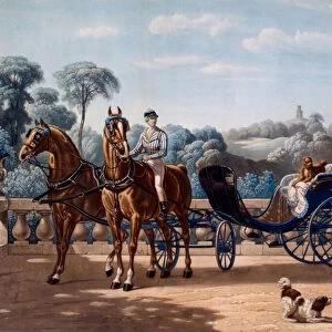 Horse and Carriage, first half C19th (colour litho)