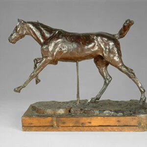 Horse Galloping on the Right Foot, 1880s (pigmented beeswax, plastiline, metal armature