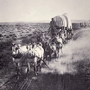 Eight horse heavy freight wagon (b / w photo)