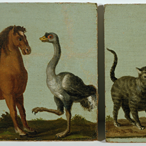 A horse and ostrich and a wildcat and wild man (oil on canvas laid down on board)