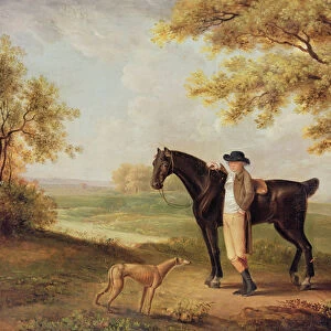 Horse, rider and whippet