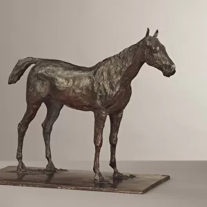 Horse Standing, modeled c. 1870s, cast 1919-21 (bronze)