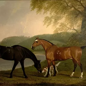 Horses and Dog in a Landscape, c. 1830 (oil on canvas)