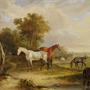Horses Grazing: A Grey Stallion grazing with Mares in a Meadow (oil on canvas)