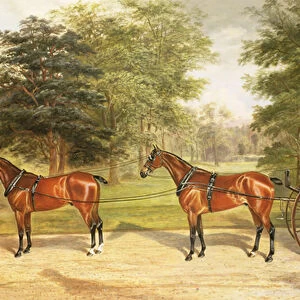 Two horses, harnessed in tandem, pulling a carriage, 1883 (oil on canvas)