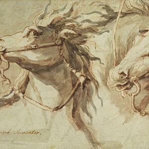 Two Horses Heads (pen, ink & wash with red chalk on buff paper)