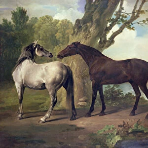 Two Horses in a landscape (oil)