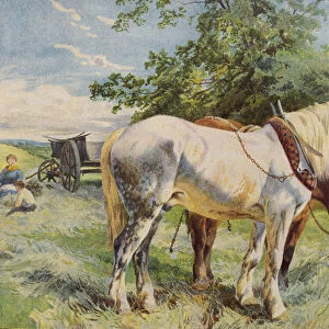 Horses taking a break from work on a farm (colour litho)
