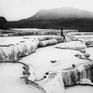 The Hot Water Basins & White Terraces, c. 1880s (b / w photo)