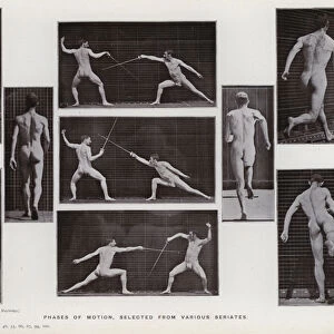 The Human Figure in Motion: Phases of motion, selected from various seriates (b / w photo)