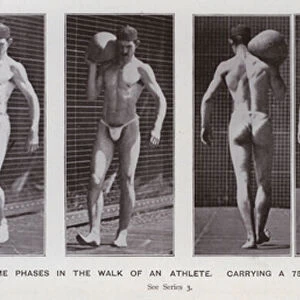 The Human Figure in Motion: Some phases in the walk of an athlete, carrying a 75-pound boulder (b / w photo)