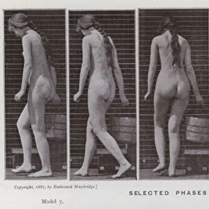 The Human Figure in Motion: Selected phases from series 42 (b / w photo)