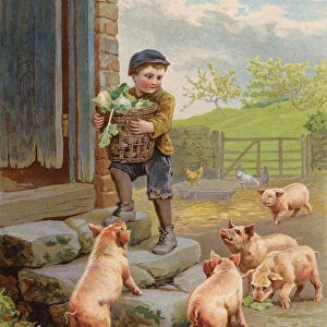 Hungry pigs watching a boy carrying a basket of turnips on a farm (chromolitho)