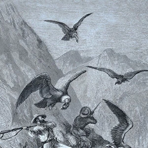 Hunters fighting with condors, 1888, Peru