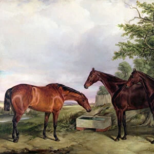 Hunters in a Landscape, 1854