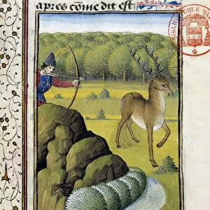 Hunting deer with a bow - in "Hunting Book of Gaston Phoebus, Count of Foix