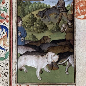Hunting Dogs - in "Hunting Book of Gaston Phoebus, Count of Foix