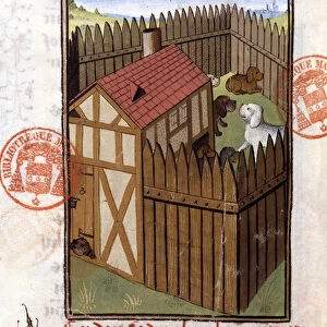 Hunting dogs in a kennel - in "Hunting book by Gaston Phoebus, Count of Foix